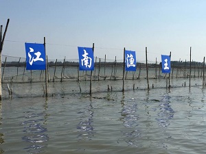 养殖基地